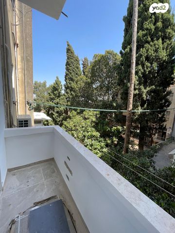 דירה, ברזילי, חיפה