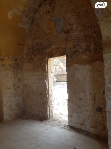 כללי, קיבוץ גלויות, העיר התחתית, ואדי סאליב, חיפה