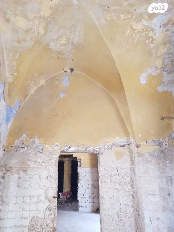 כללי, קיבוץ גלויות, העיר התחתית, ואדי סאליב, חיפה