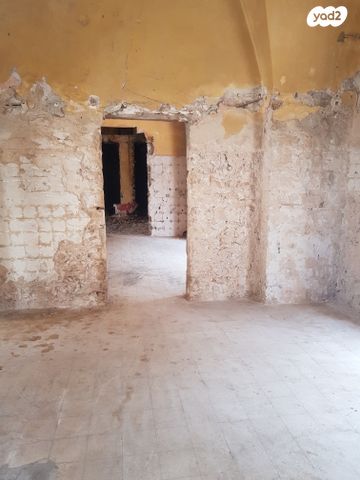 כללי, קיבוץ גלויות, העיר התחתית, ואדי סאליב, חיפה