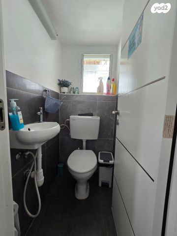 סטודיו, קרן היסוד, מרכז העיר, סביניה, הוותיקה, קרית ביאליק