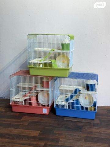 תמונת מודעה - חיות מחמד