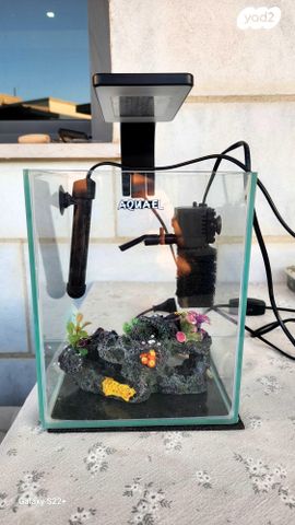 תמונת מודעה - חיות מחמד