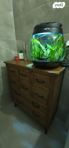 אביזרים | אקווריום