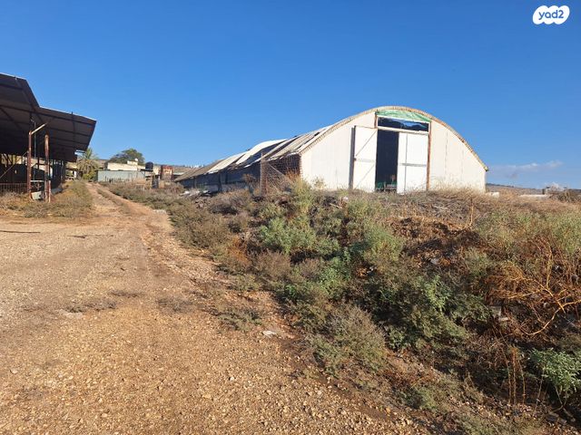 משק חקלאי/ נחלה, המייסדים 44, הזורעים, הזורעים