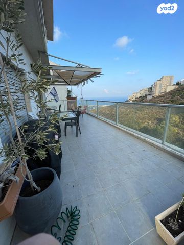 דירה, יוסף שכטר, אחוזה, חיפה