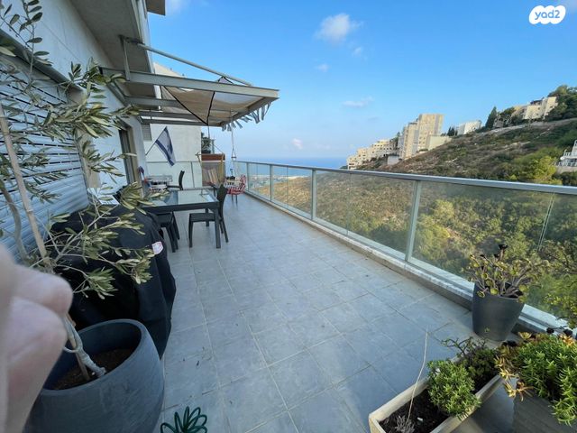 דירה, יוסף שכטר, אחוזה, חיפה