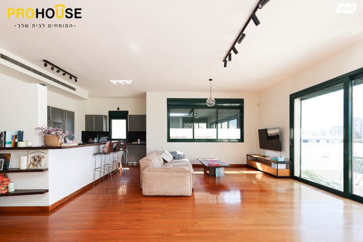 גג/ פנטהאוז, יעקב חזן, רביבים, תל אביב יפו