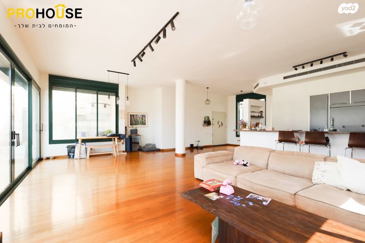 גג/ פנטהאוז, יעקב חזן, רביבים, תל אביב יפו