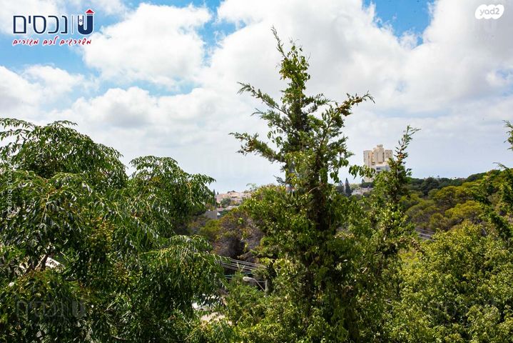 דירה, ד"ר נחום שימקין, רמת בגין, חיפה