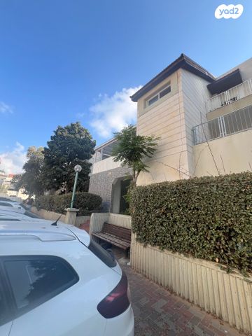 אירוס הארגמן 