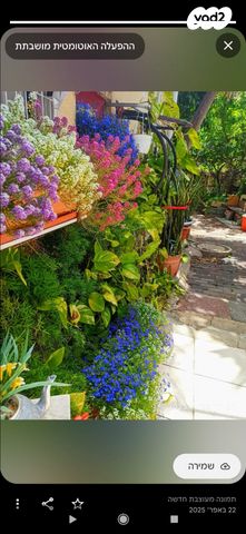 מרדכי בר מוחא 