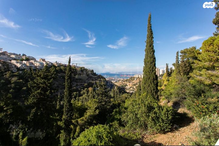 דירה, רוממה, חיפה