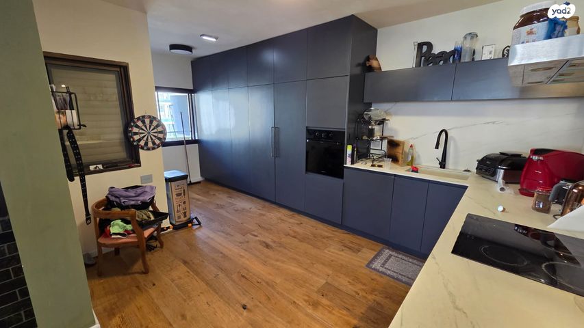 שאול אביגור 