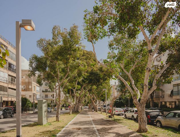 הצפון החדש - דרום