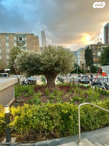 דירה, ערבי נחל, סיטי, גבעתיים