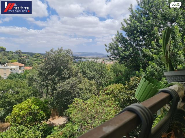 דירת גן, טבעון הוותיקה, קרית טבעון