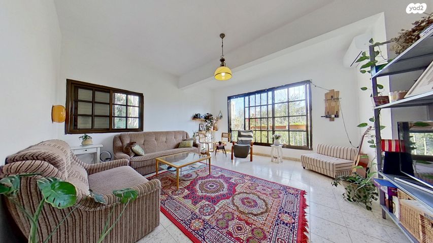 שושנת הכרמל 36