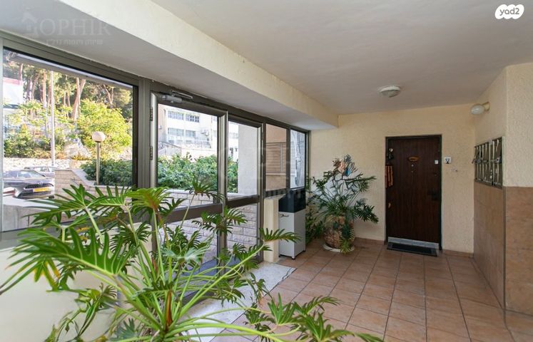 דירה, רוממה, חיפה