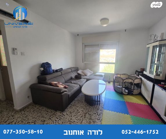 דירה, אשכולות, כרמיאל