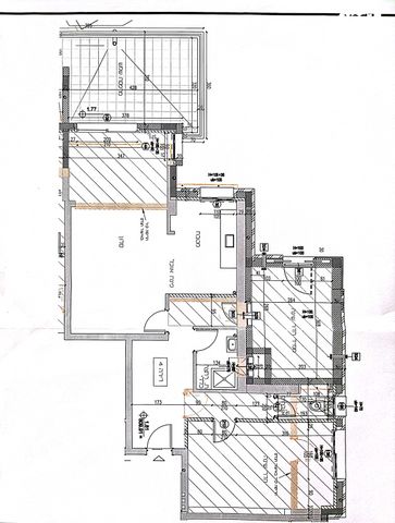 שושנה פוליאקוב 
