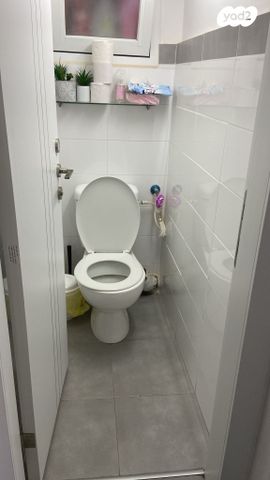 דירה, האלון, קדימה צורן