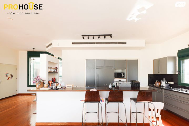 גג/ פנטהאוז, יעקב חזן, רביבים, תל אביב יפו