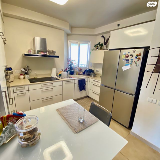 גג/ פנטהאוז, השפלה, אלון, רמת השרון