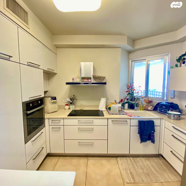 גג/ פנטהאוז, השפלה, אלון, רמת השרון