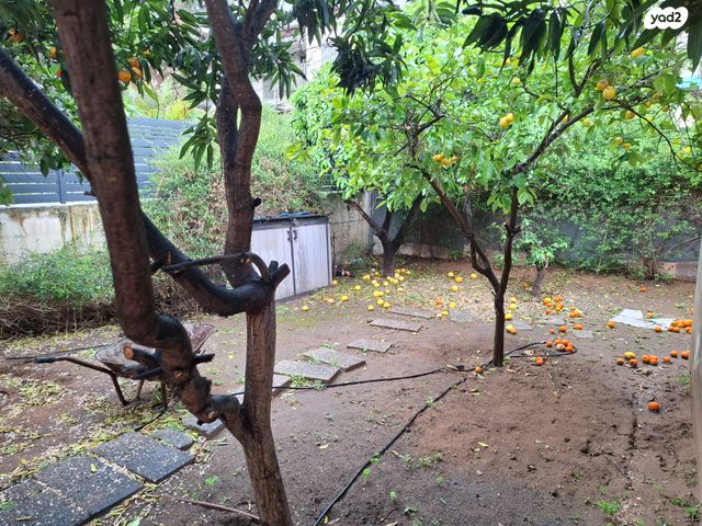 מגרשים, אלמוג, נווה מונוסון, יהוד מונוסון