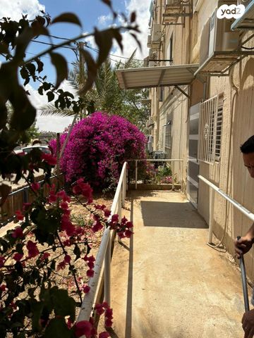 דירה, דימונה