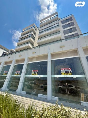 שדרות דוד המלך 