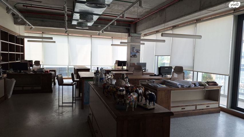 ראול ולנברג 