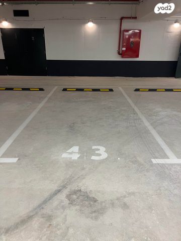 שושנה דמארי 