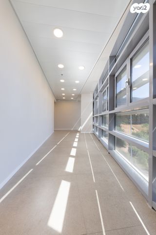 סטודיו, מעלה כמון 9, כרמיאל