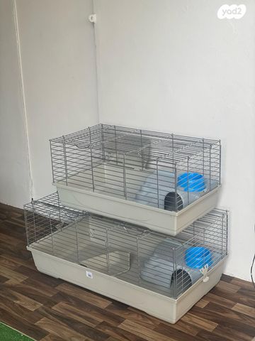 תמונת מודעה - חיות מחמד