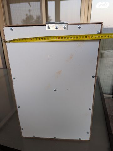 תוכי אקלקטוס