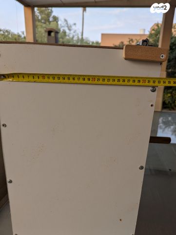 תוכי אקלקטוס