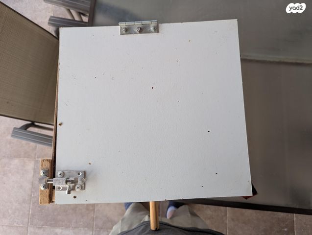 תוכי אקלקטוס