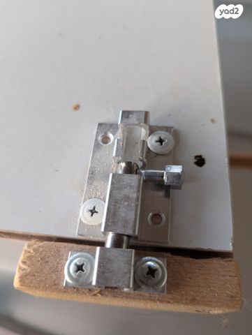 תוכי אקלקטוס