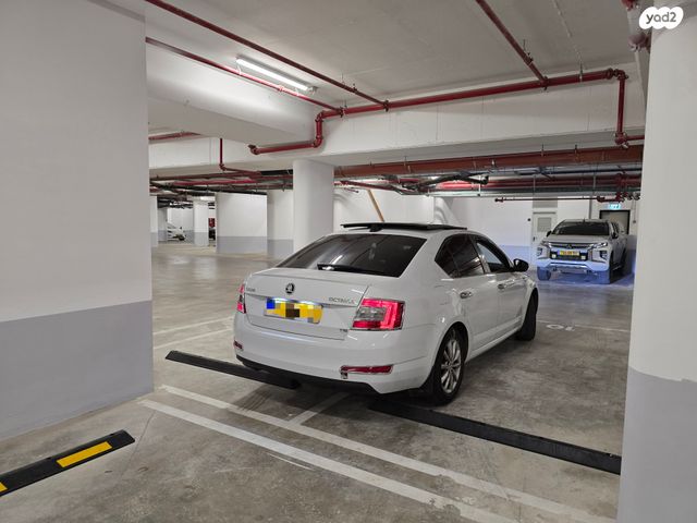 סקודה אוקטביה