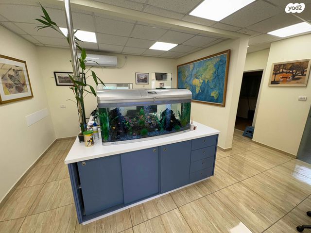 משרדים, השקדים 12, אבו גוש