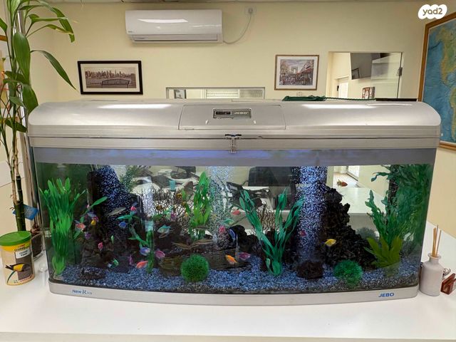 משרדים, השקדים 12, אבו גוש