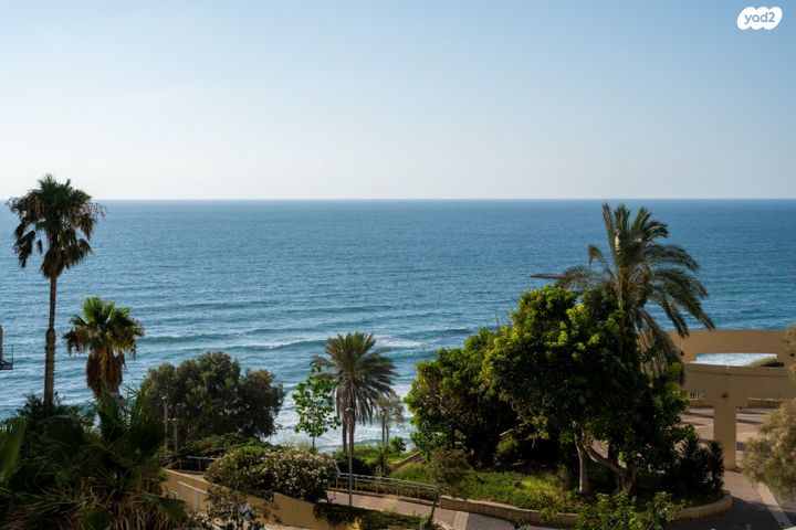 דירה, שדרות ניצה, נתניה