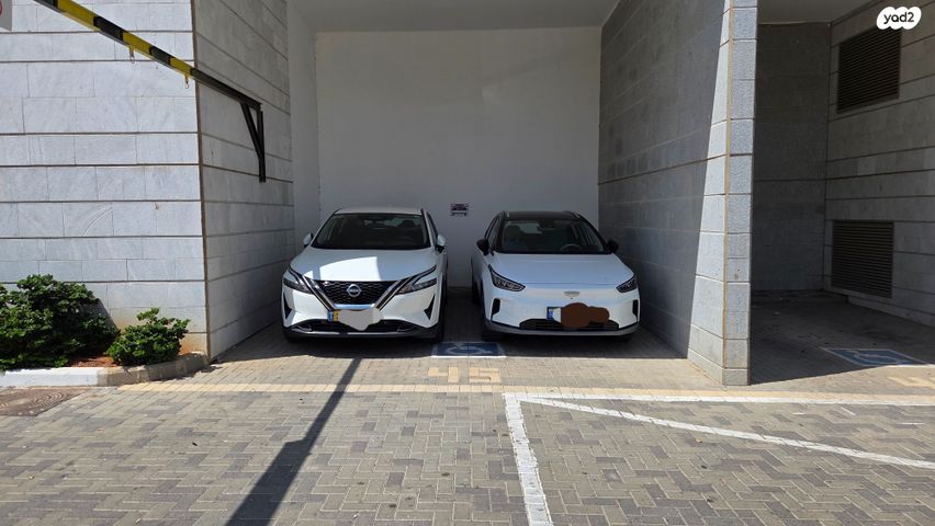 דירה, העגור, החותרים, טירת כרמל