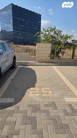 דירה, העגור, החותרים, טירת כרמל