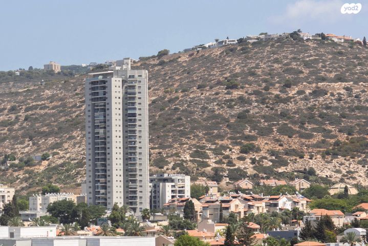 דירה, האנפה, החותרים, טירת כרמל