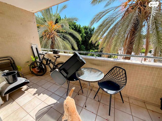 דירה, ברל כצנלסון, שיכוני מזרחי, כפר סבא