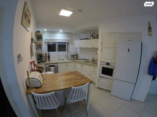 יהושע ייבין 