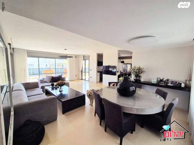 דופלקס, הזמר העברי, כפר סבא